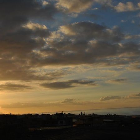 Discover The North Of The Island Of Tenerife La Laguna  Exteriér fotografie